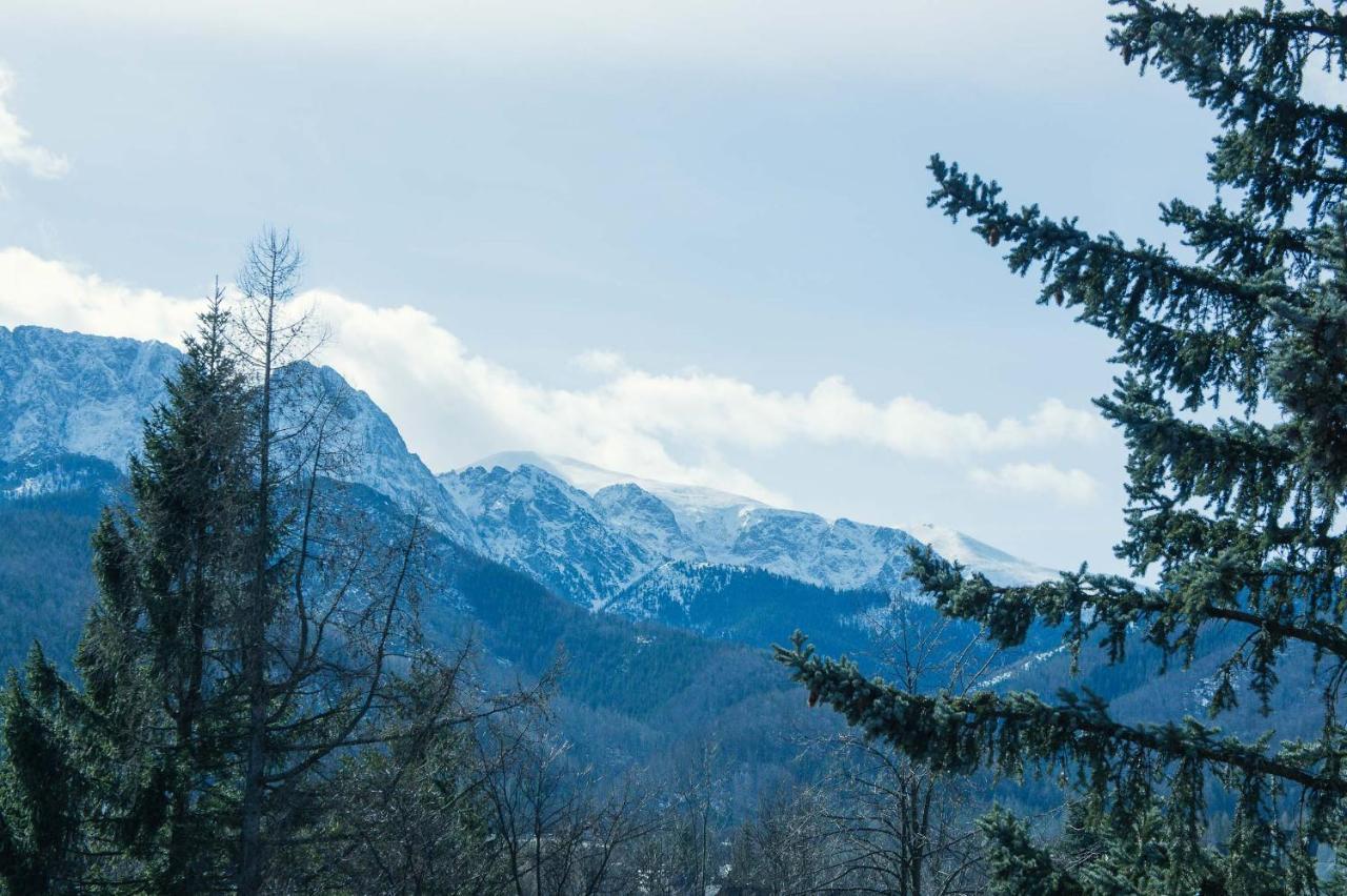 Aparthotel Delta Zakopane Dış mekan fotoğraf